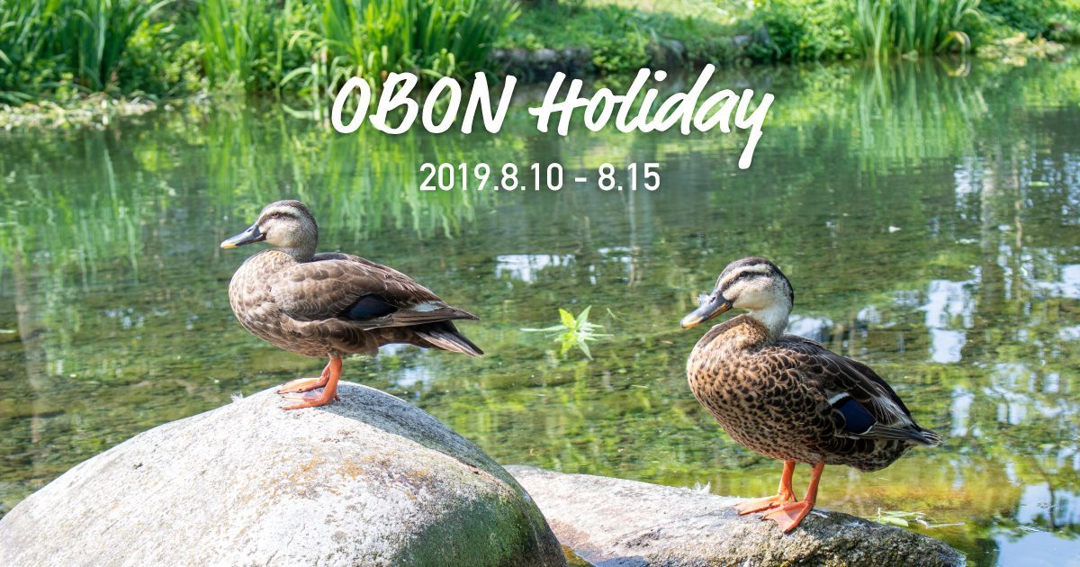 OBON Holiday 2019.6.10-8.15 写真：鴨が2羽石の上に並んでいる様子