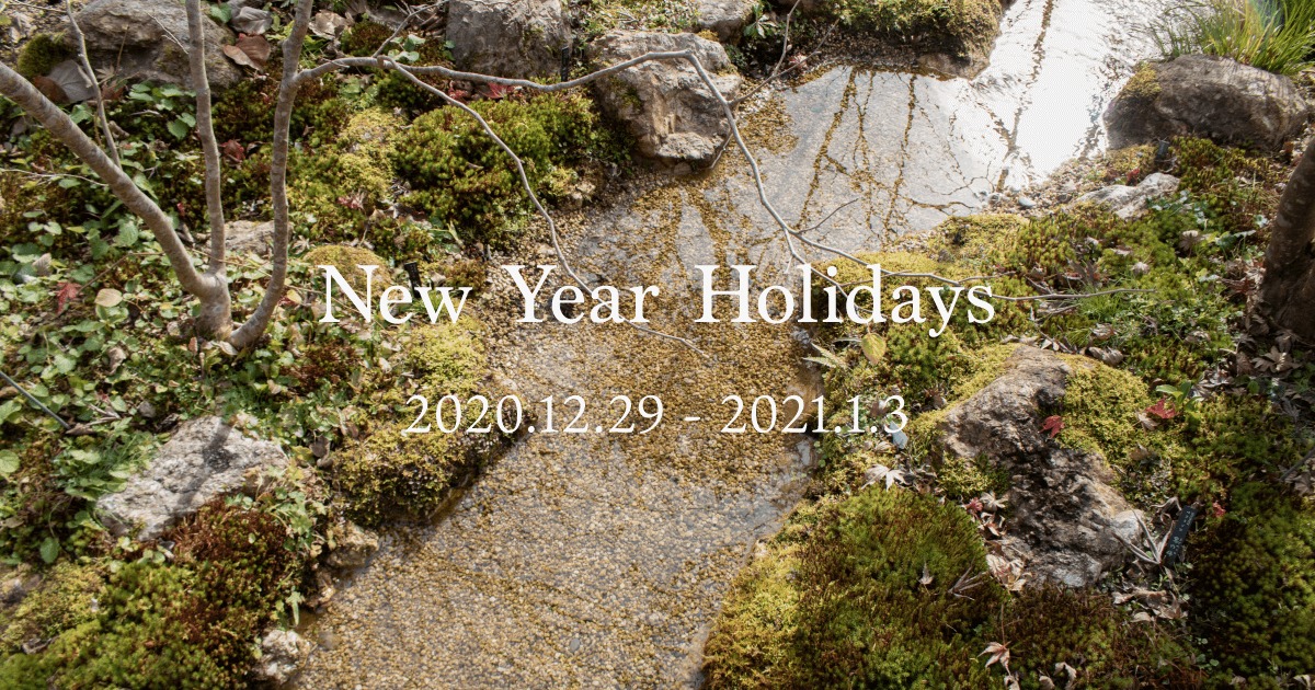 New Year Holiday 2020.12.29 - 2021.1.3